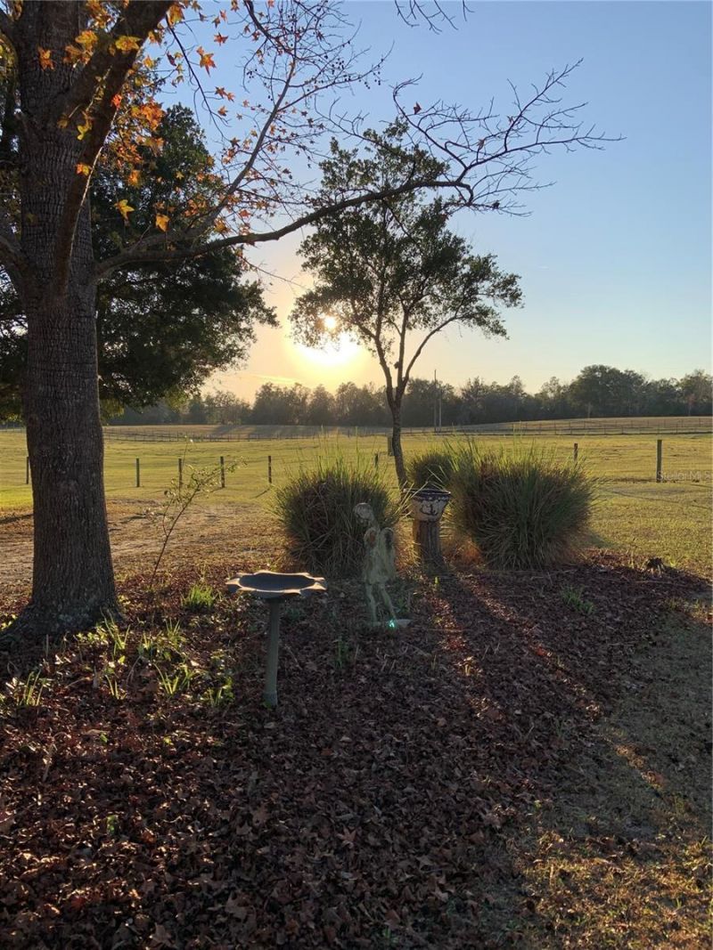 7650 NE 40th Street, High Springs, FL 32643 Photo