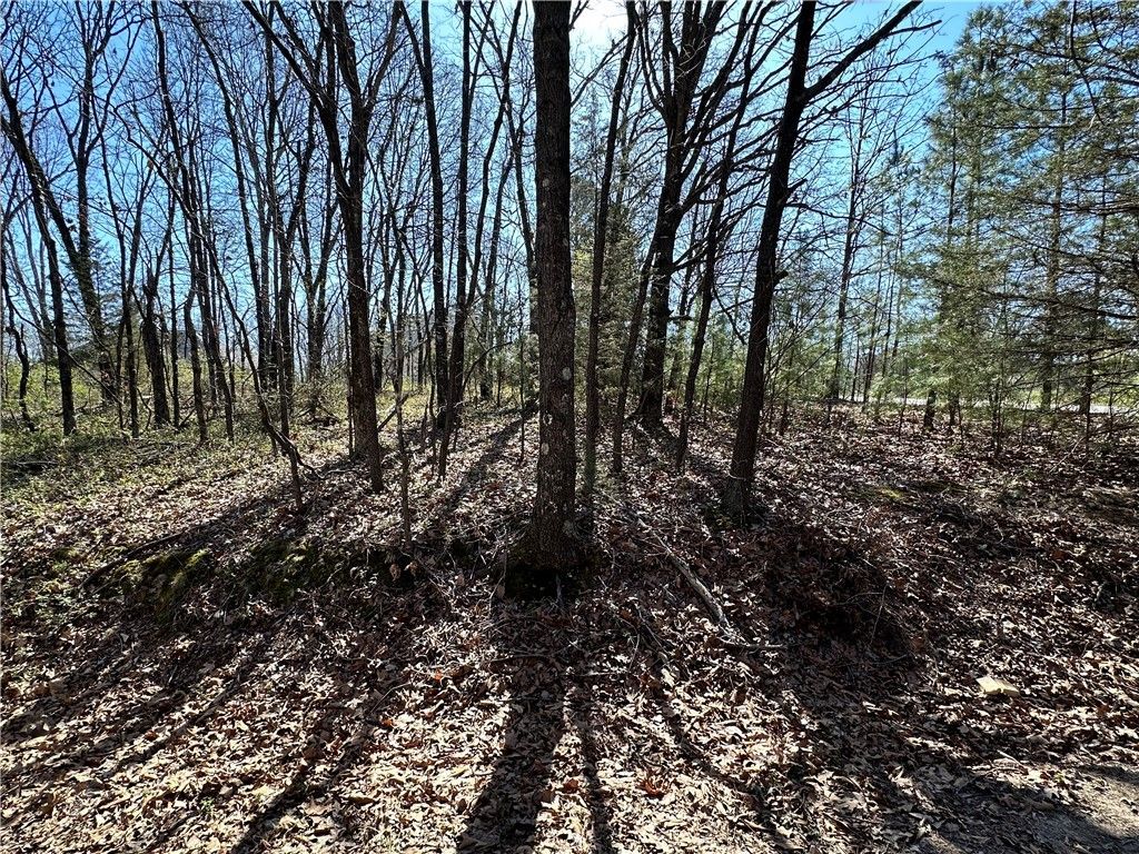 Lot .28 Acre Auldearn Circle, Bella Vista, AR 72715 Main Photo