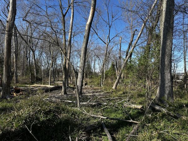 TBD Beckman Road , Mt Vernon, IL 62864