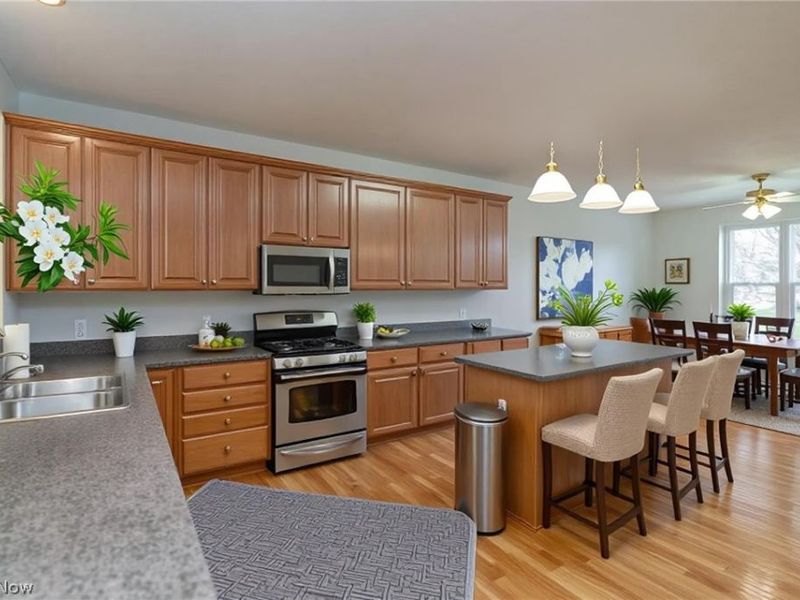 9119 Chatham Circle, North Ridgeville, OH 44039 Photo 8