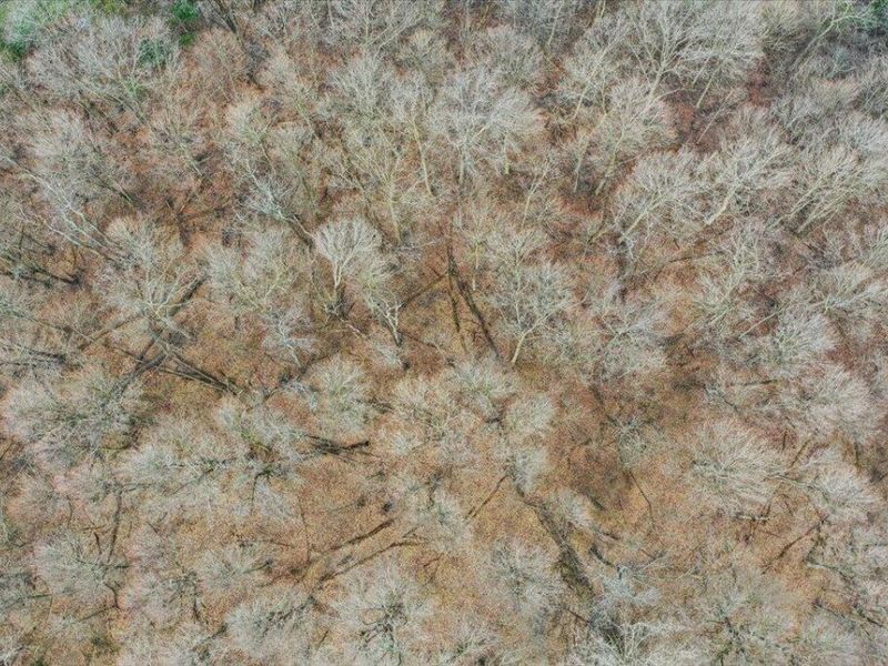 0 Township Hwy 181 , Bellefontaine, OH 43311 Photo 24