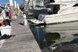 33 Lockwood Drive photo 4