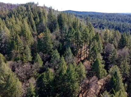 87 Acres Rock Creek Rd, Garden Valley, CA 95633 Photo