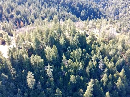 87 Acres Rock Creek Rd, Garden Valley, CA 95633 Photo