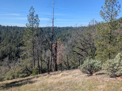 87 Acres Rock Creek Rd, Garden Valley, CA 95633 Photo
