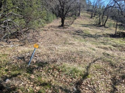 87 Acres Rock Creek Rd, Garden Valley, CA 95633 Photo