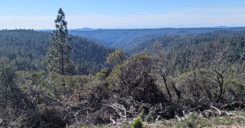 87 Acres Rock Creek Rd, Garden Valley, CA 95633 Photo