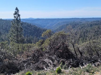 87 Acres Rock Creek Rd, Garden Valley, CA 95633 Photo