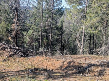 87 Acres Rock Creek Rd, Garden Valley, CA 95633 Photo