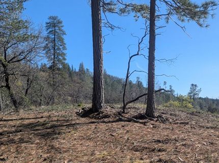 87 Acres Rock Creek Rd, Garden Valley, CA 95633 Photo