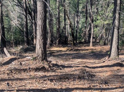 87 Acres Rock Creek Rd, Garden Valley, CA 95633 Photo