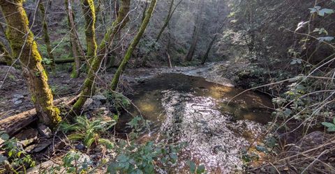 87 Acres Rock Creek Rd, Garden Valley, CA 95633 Photo