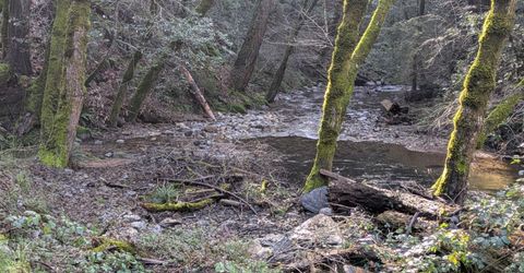 87 Acres Rock Creek Rd, Garden Valley, CA 95633 Photo