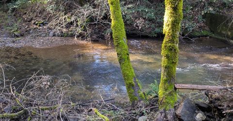 87 Acres Rock Creek Rd, Garden Valley, CA 95633 Photo