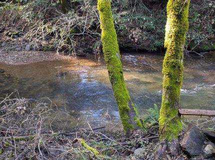 87 Acres Rock Creek Rd, Garden Valley, CA 95633 Photo