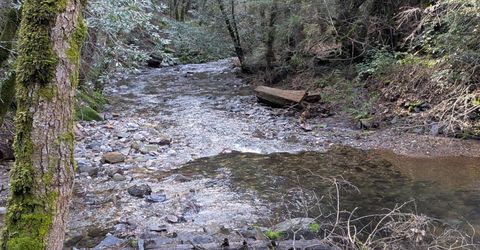 87 Acres Rock Creek Rd, Garden Valley, CA 95633 Photo