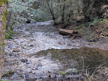 87 Acres Rock Creek Rd, Garden Valley, CA 95633 Photo