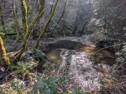 87 Acres Rock Creek Rd, Garden Valley, CA 95633 Photo