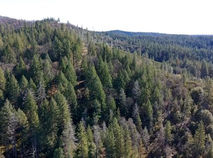 87 Acres Rock Creek Rd, Garden Valley, CA 95633 Photo