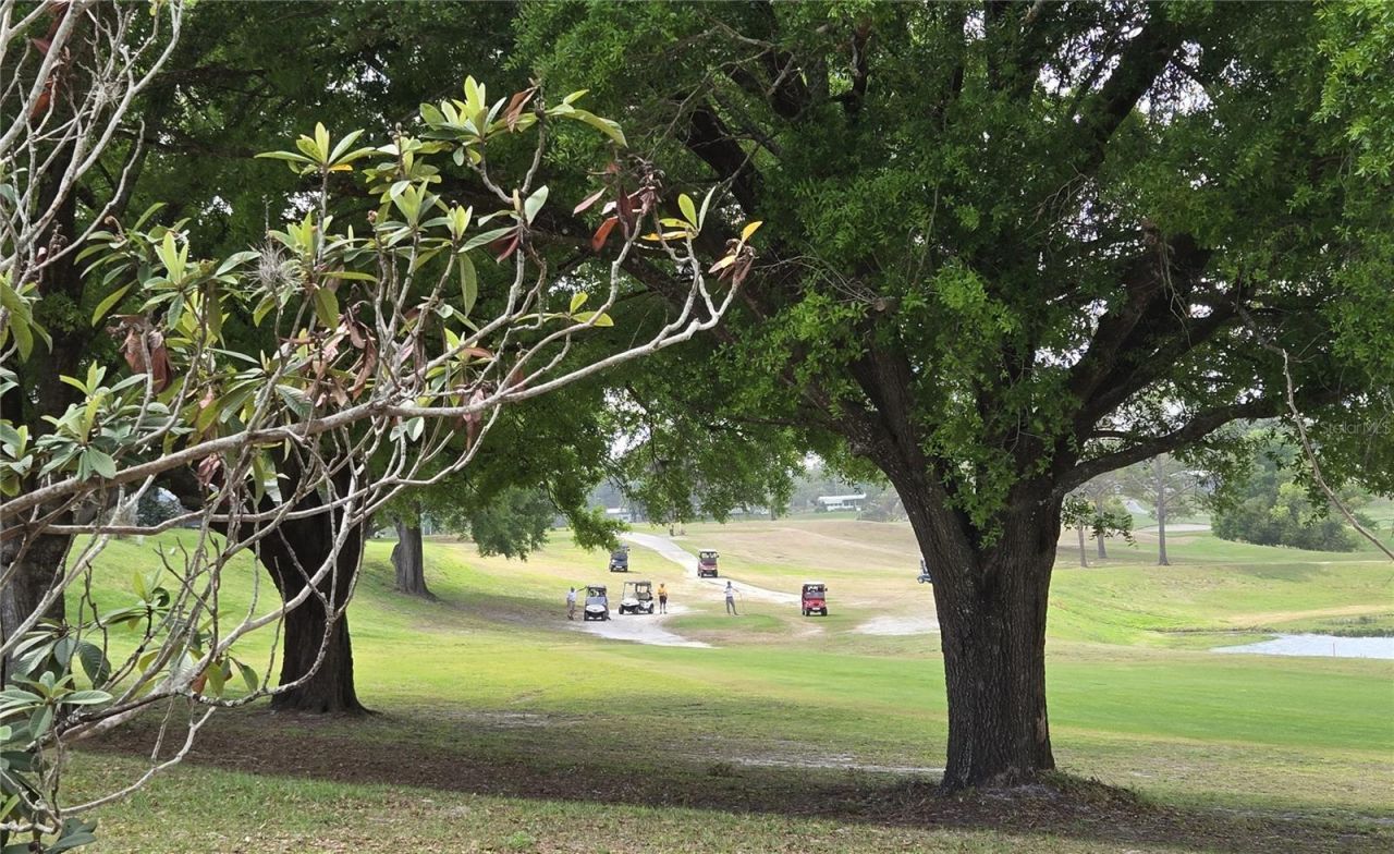 2458 Putter Road, Unit 1610, Zellwood, FL 32798 Photo