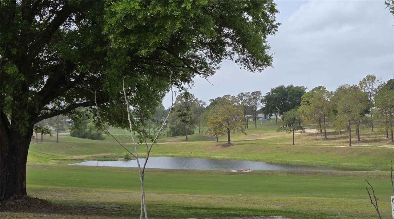 2458 Putter Road, Unit 1610, Zellwood, FL 32798 Photo