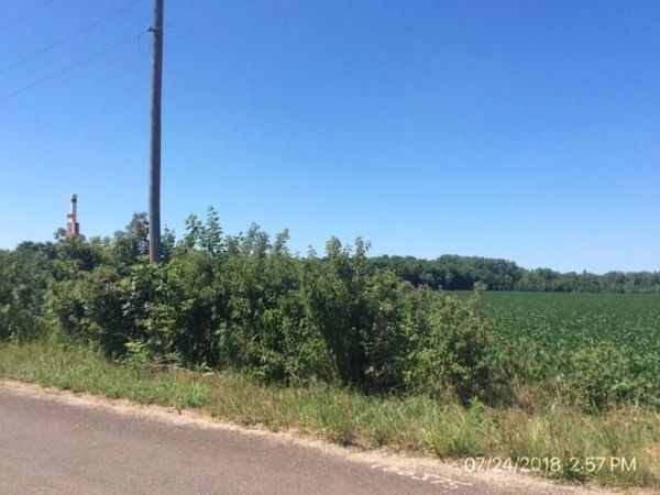 39502 E Gillespie Road, Oak Grove, MO 64075