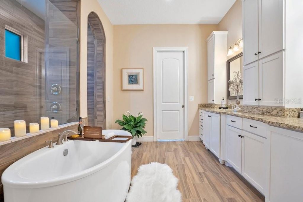 743 Canopy Estates Drive , Winter Garden, FL 34787 Photo