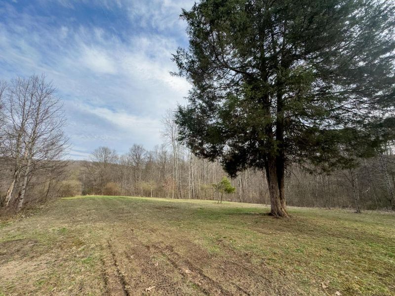 805 Daugherty Road, Stockport, OH 43787 Photo 30