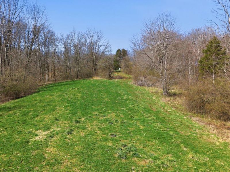 805 Daugherty Road, Stockport, OH 43787 Photo 31