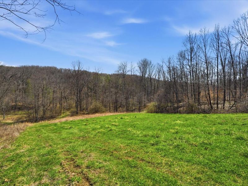 805 Daugherty Road, Stockport, OH 43787 Photo 33