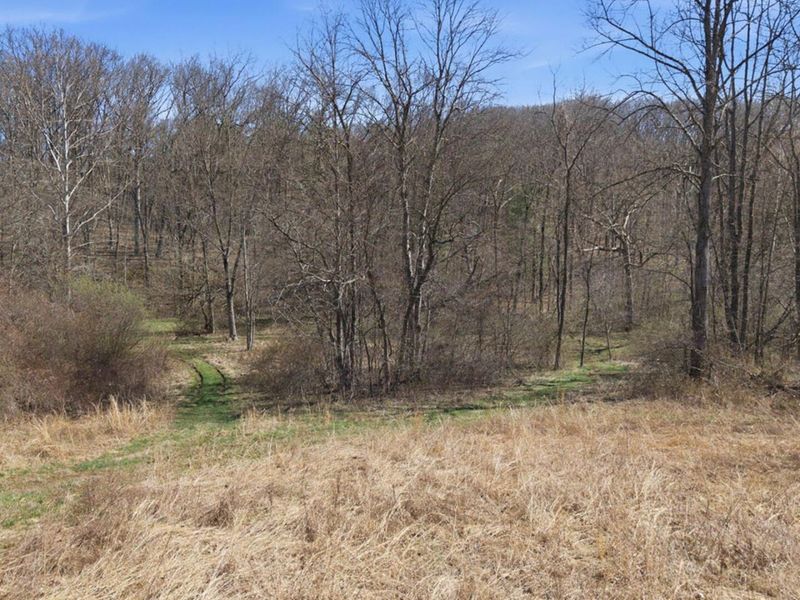 805 Daugherty Road, Stockport, OH 43787 Photo 36