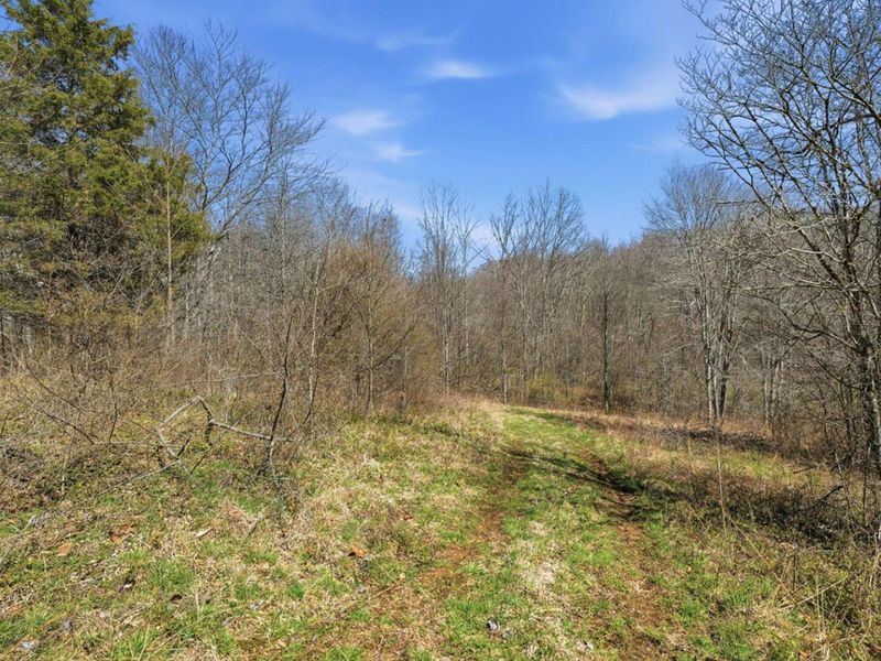 805 Daugherty Road, Stockport, OH 43787 Photo 37