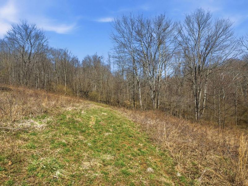 805 Daugherty Road, Stockport, OH 43787 Photo 38