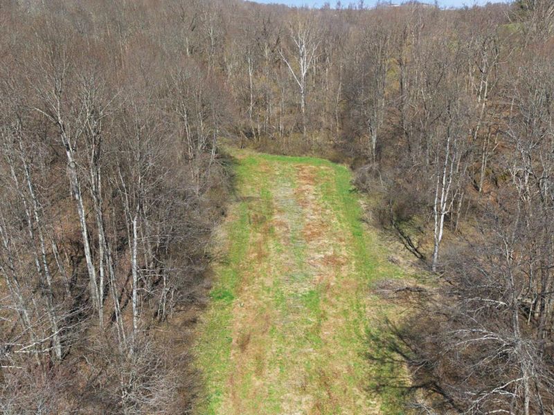 805 Daugherty Road, Stockport, OH 43787 Photo 40