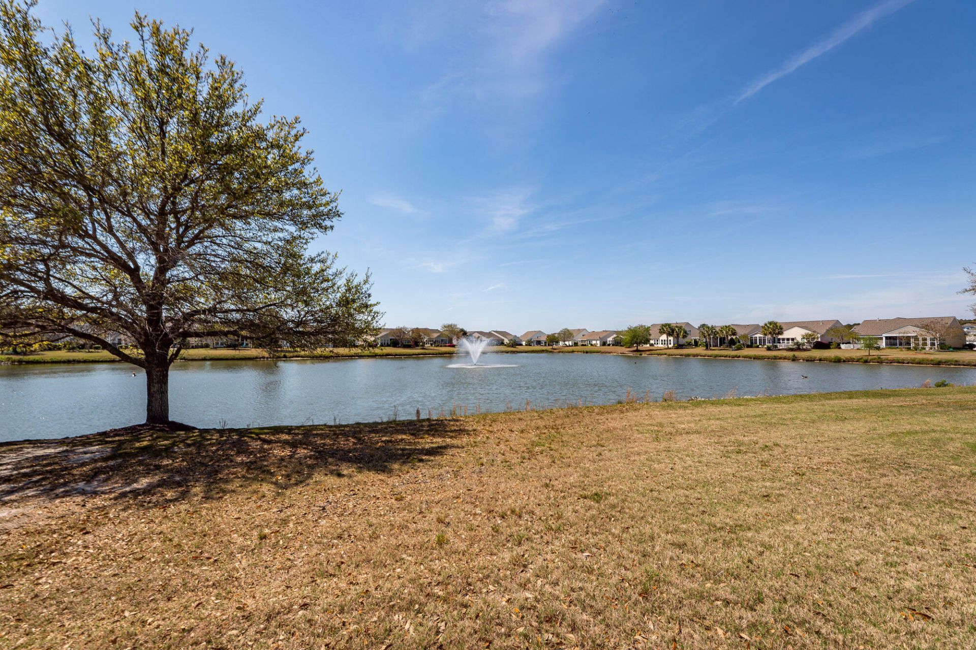 109 Schooner Bend Avenue Photo 45
