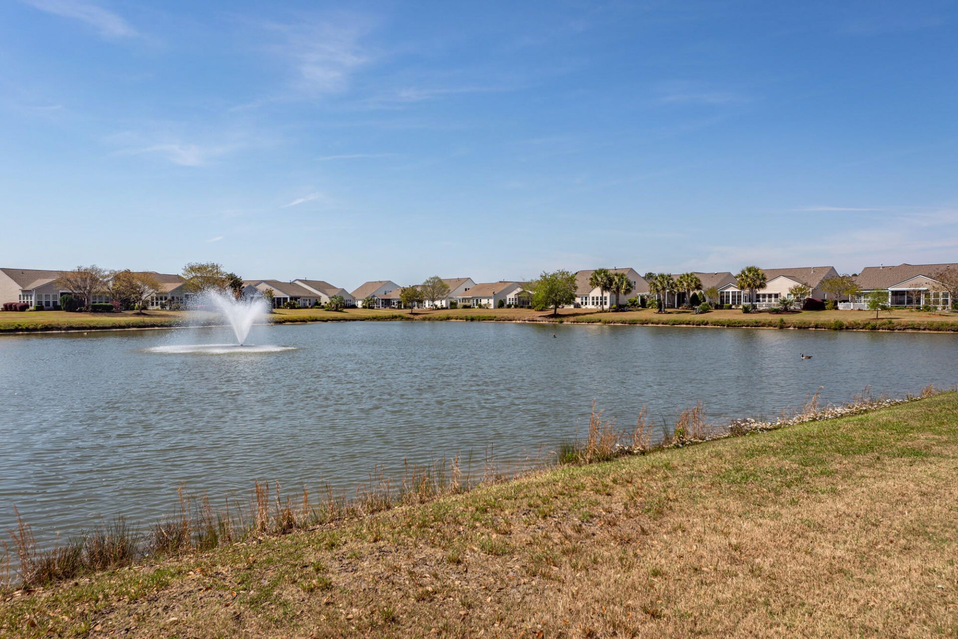 109 Schooner Bend Avenue Photo 46
