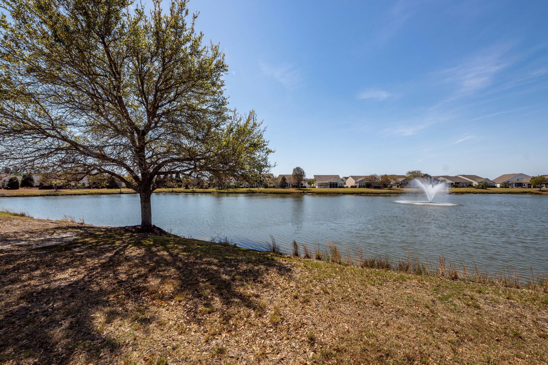 109 Schooner Bend Avenue Photo 47