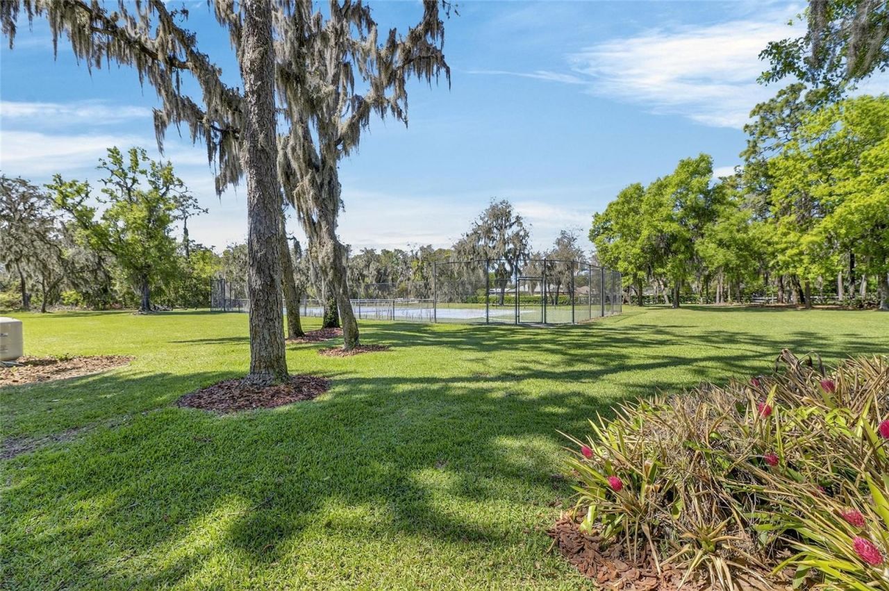 3201 Polo Place, Plant City, FL 33566 Photo