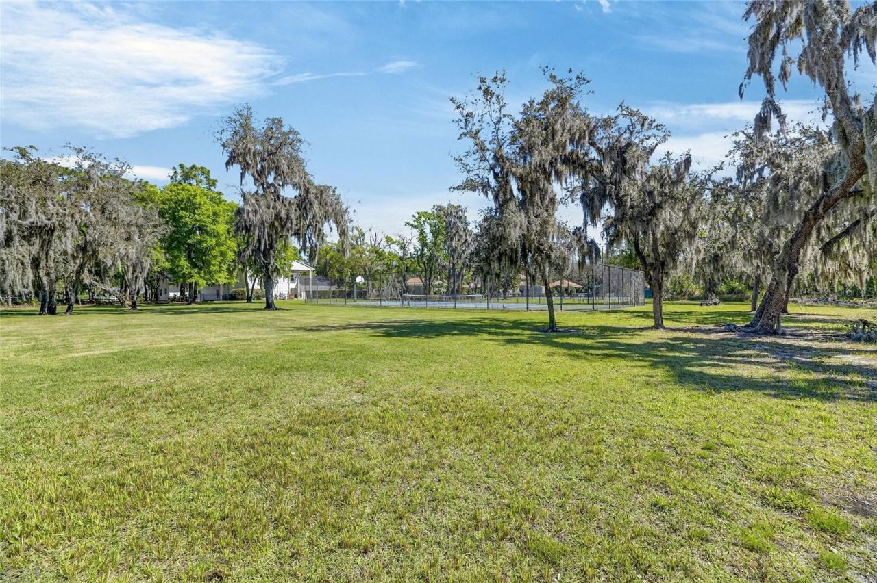 3201 Polo Place, Plant City, FL 33566 Photo