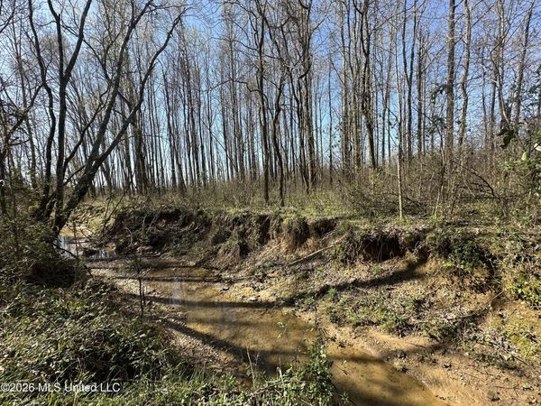 0 Wildwood Road, Vaughan, MS 39179