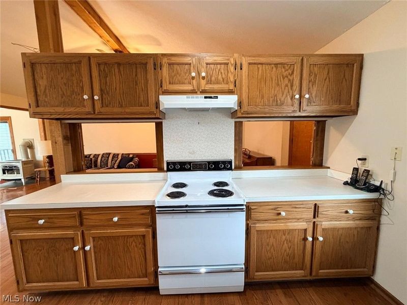 1044 Brimfield Drive, Medina, OH 44256 Photo 4