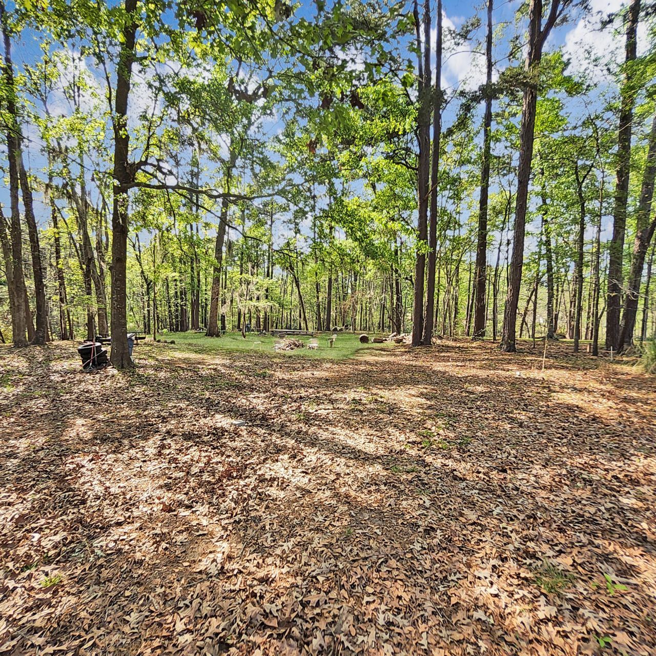 384 Suwanee Drive Photo 32