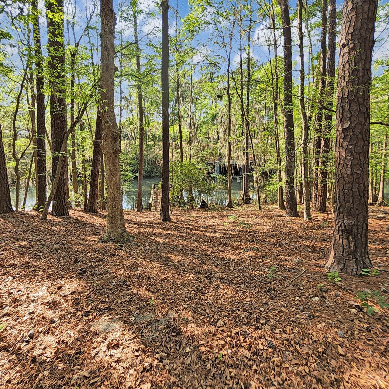 384 Suwanee Drive Photo 33