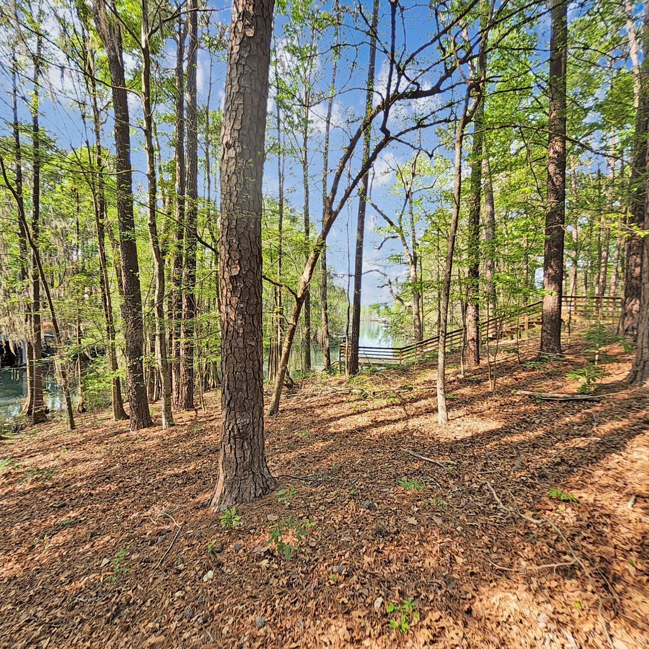 384 Suwanee Drive Photo 34