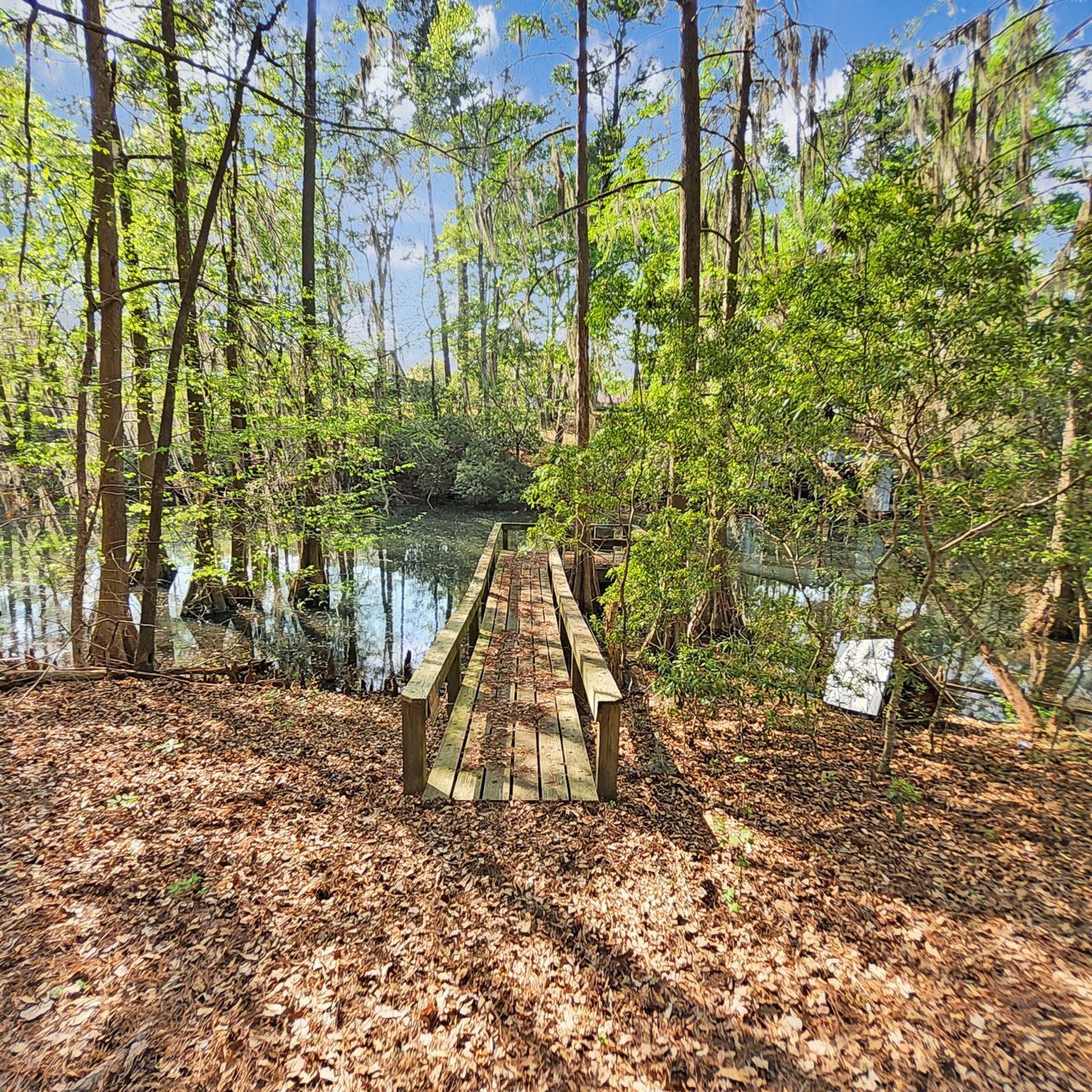 384 Suwanee Drive Photo 35