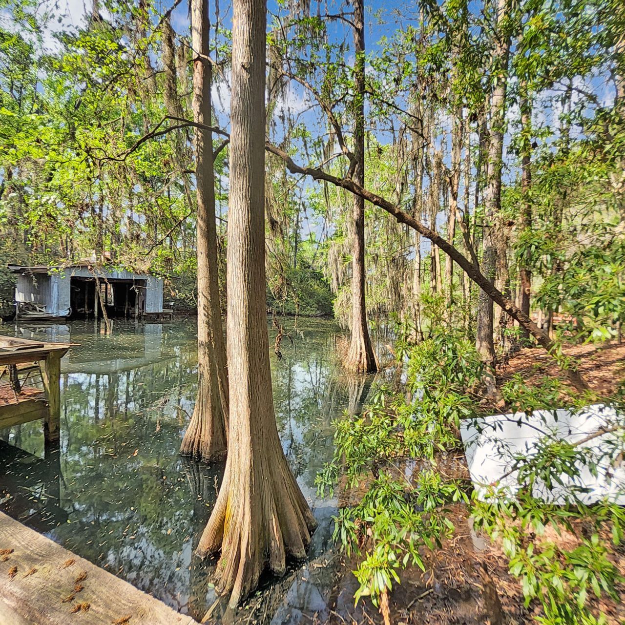 384 Suwanee Drive Photo 36