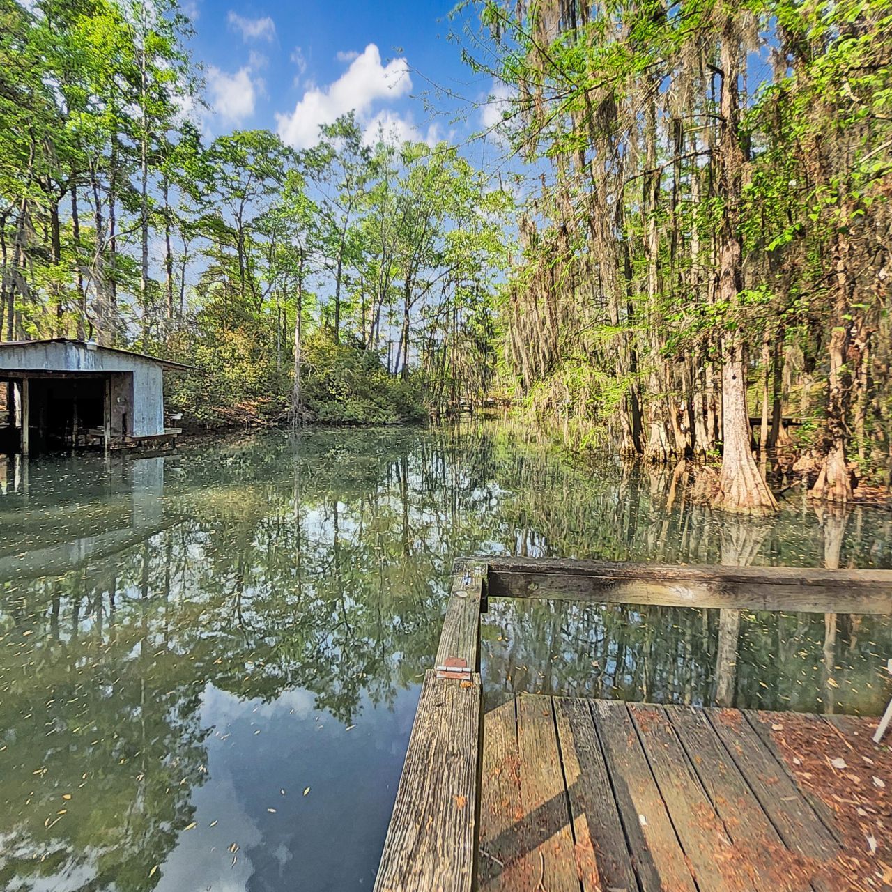 384 Suwanee Drive Photo 37