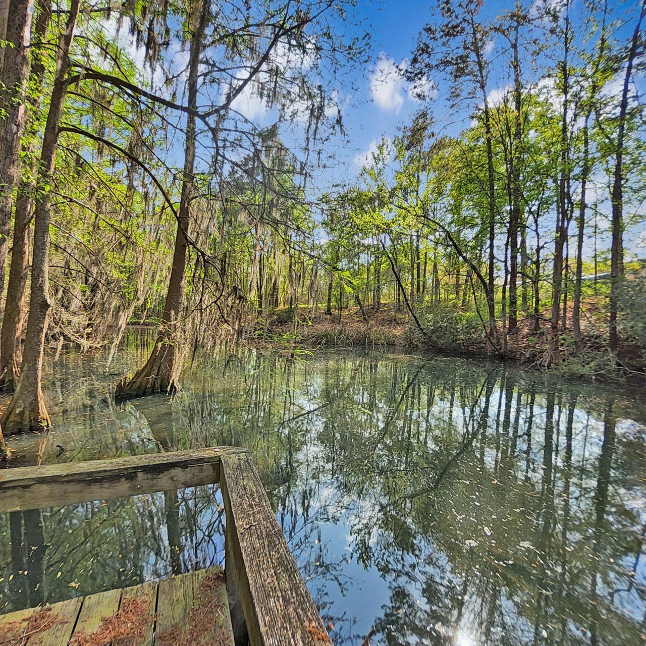 384 Suwanee Drive Photo 38