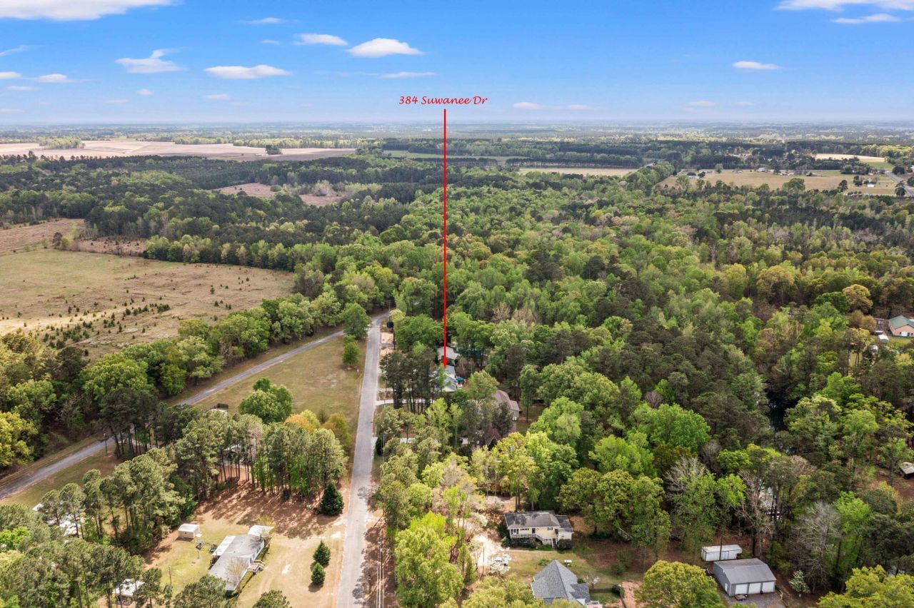 384 Suwanee Drive Photo 43