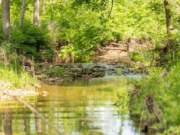TBD NE 82 Highway, Osceola, MO 64776